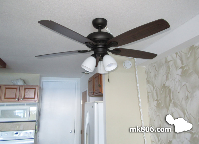 Ceiling Fan and New Central AC System